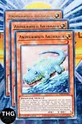 Animadorned Archosaur