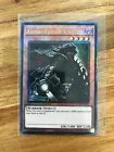 Dragon Master Knight