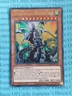 Armed Dragon Thunder LV10