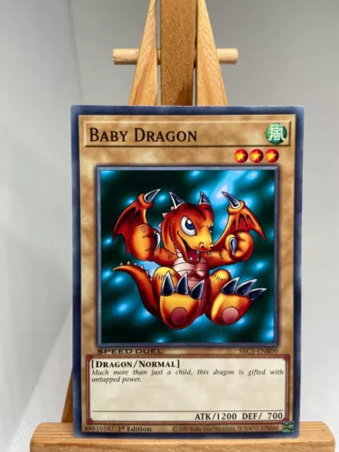 Baby Dragon
