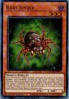 Baby Spider