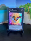 Baby Tiragon