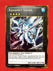 Bahamut Shark