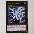 Bahamut Shark