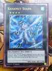 Bahamut Shark