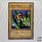 Basic Insect