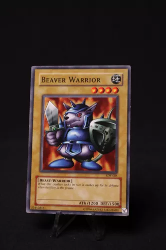 Beaver Warrior