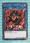 Berserker of the Tenyi