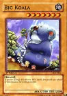 Big Koala