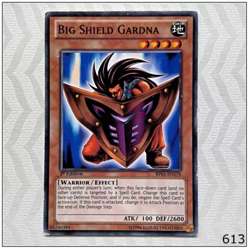 Big Shield Gardna