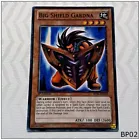 Big Shield Gardna