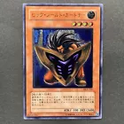 Cyber Shadow Gardna