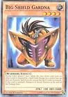 Big Shield Gardna