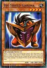 Big Shield Gardna