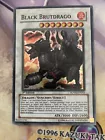 Black Brutdrago