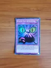 Black Cat-astrophe