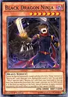 Black Dragon Ninja