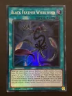 Black Feather Whirlwind