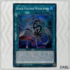 Black Feather Whirlwind