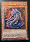 Black Mamba