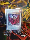 Black Rose Dragon