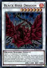 Black Rose Dragon