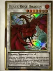 Black Rose Dragon