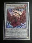 Black Rose Dragon