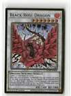 Black Rose Dragon