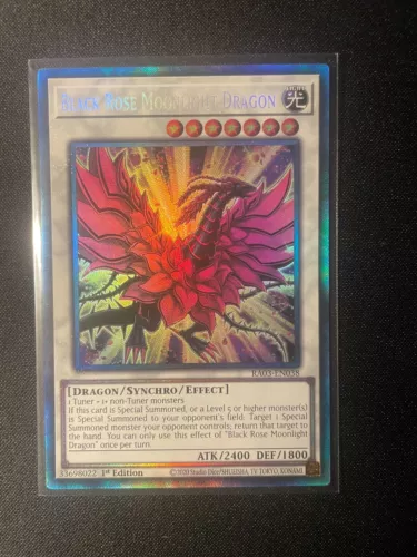 Black Rose Moonlight Dragon