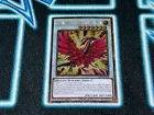 Black Rose Moonlight Dragon