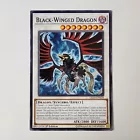 Black-Winged Dragon