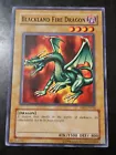 Blackland Fire Dragon