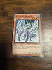 Blizzard Dragon