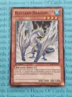 Blizzard Dragon