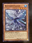 Blizzard Falcon