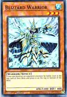 Blizzard Warrior