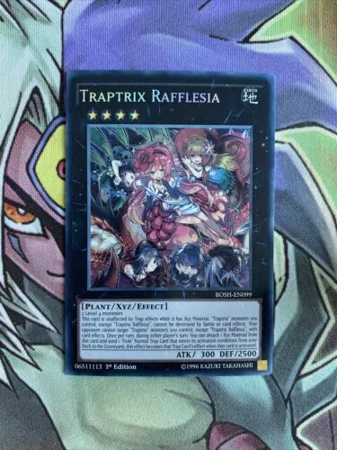 Traptrix Rafflesia