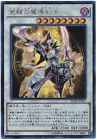Enlightenment Paladin