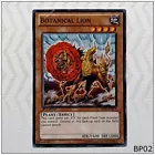 Botanical Lion