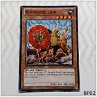 Botanical Lion