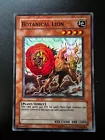 Botanical Lion