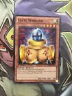 Slate Warrior