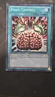 Brain Control