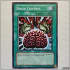 Brain Control