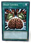 Brain Control