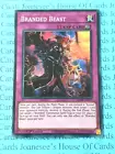Shaddoll Beast