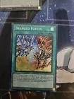 Branded Fusion