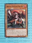 Bravo, Fighter Fur Hire