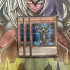 Noble Knight's Shield-Bearer